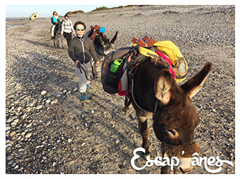 Bivouac en Baie de Somme (sur devis) :