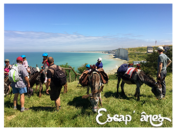 Rando’Ânes au Bois de Cise :