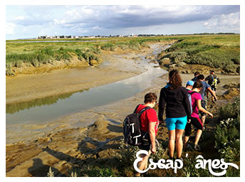 La Traversée de la Baie : de Saint Valéry au Crotoy :