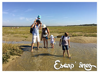 Balade découverte en Baie :