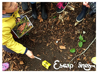 Jouons au Détective forestier: