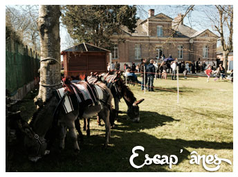 les animations évènementielles