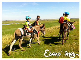 Rando’Ânes au Cap Hornu :
