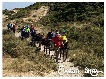Rando’Ânes du Hourdel aux Bas-champs :