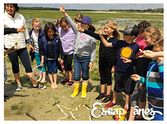 Sorties Nature et Animations Juniors